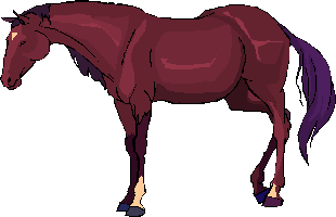 caballo-2.gif