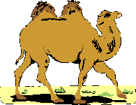camello.gif