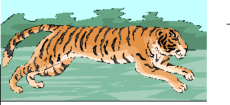 tigre2.gif